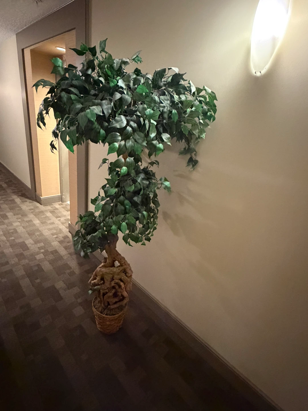 Artificial Ficus Tree