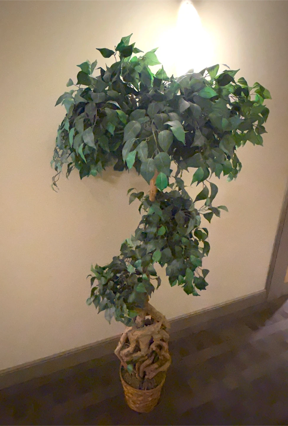 Artificial Ficus Tree - photo 3