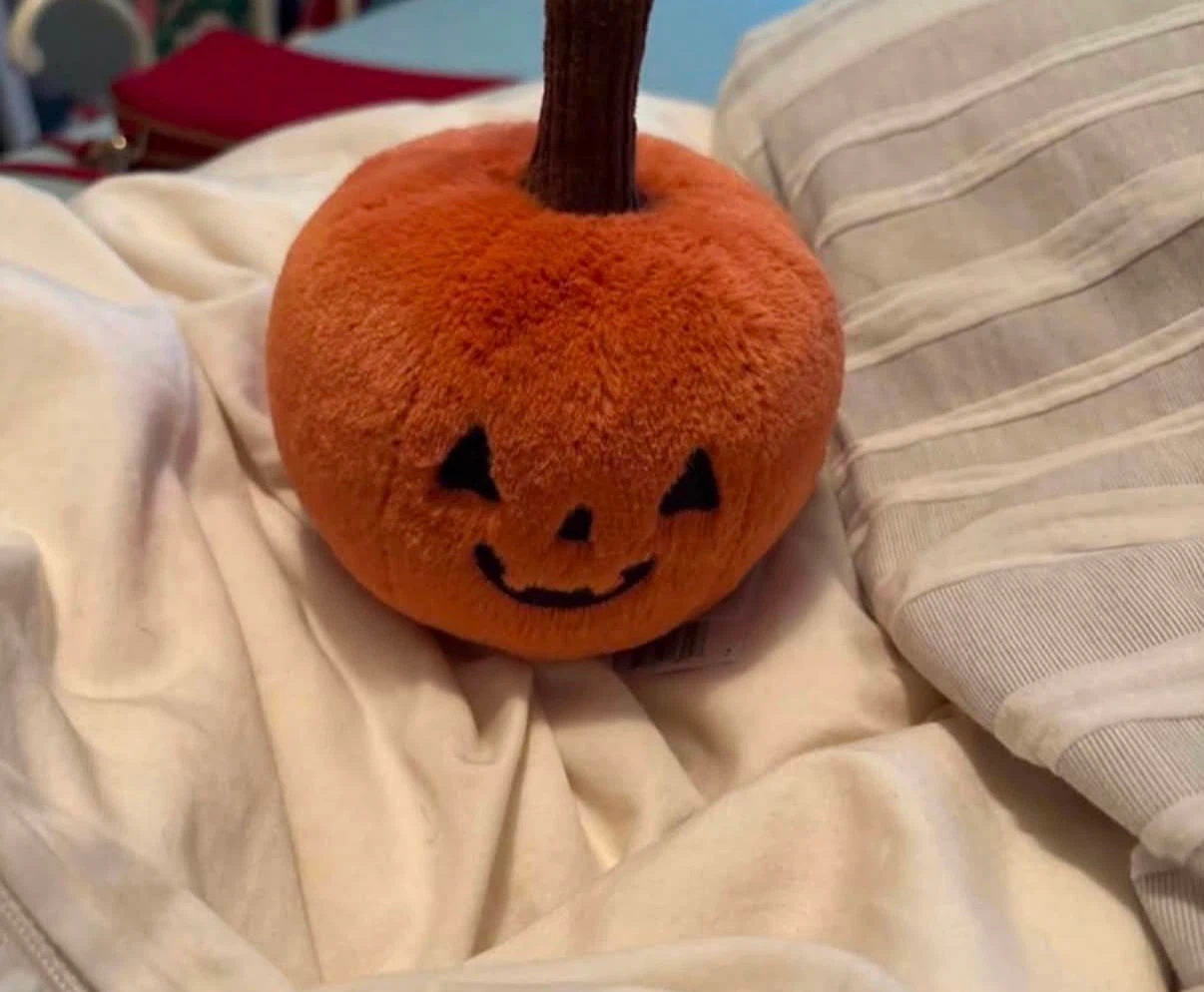 Jellycat pumpkin tags on