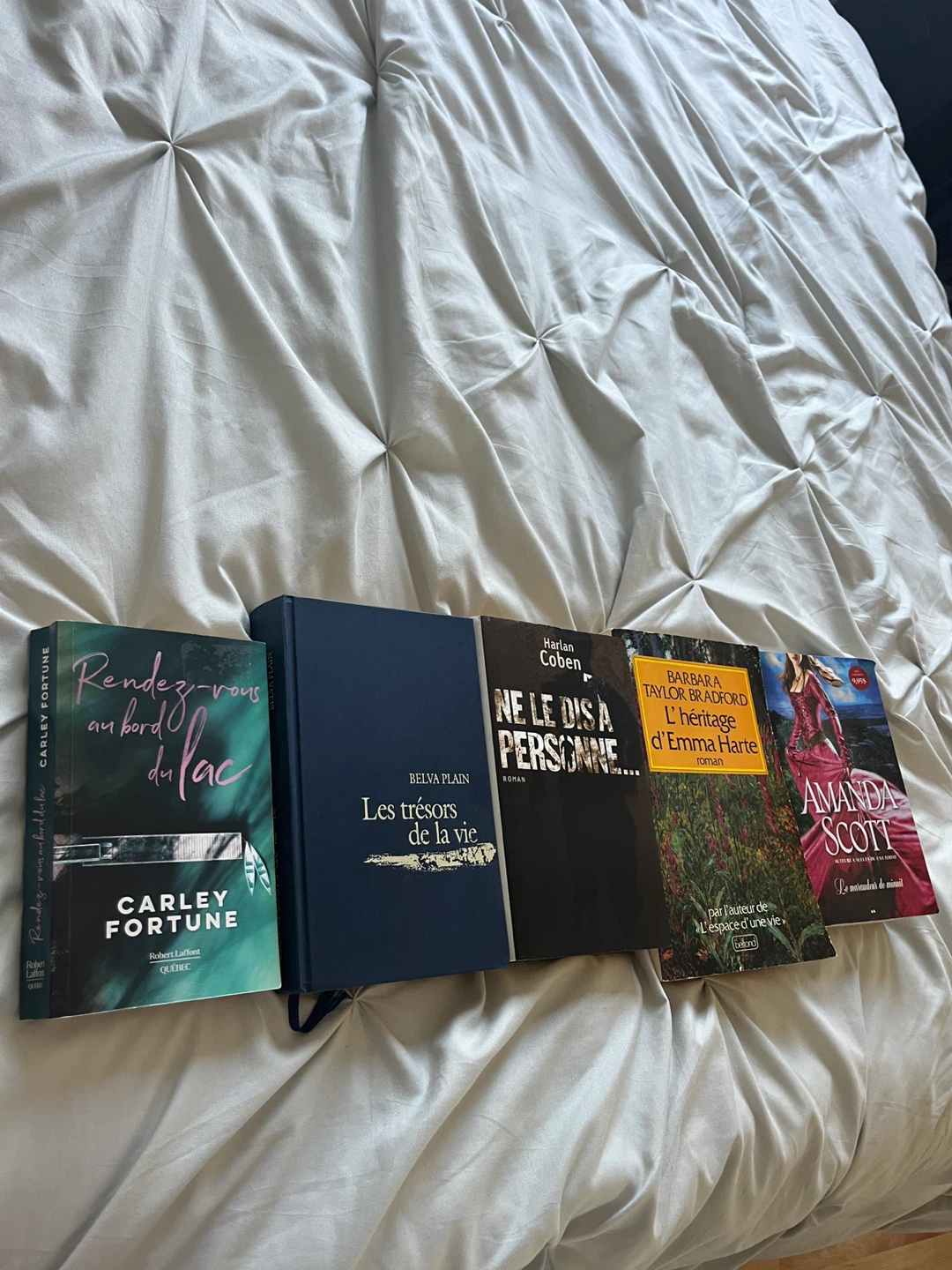 Lot de 5 romans variés (thriller, romance, drame et historique)