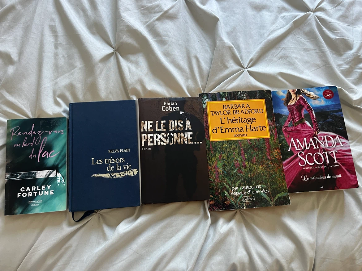 Lot de 5 romans variés (thriller, romance, drame et historique) - photo 2