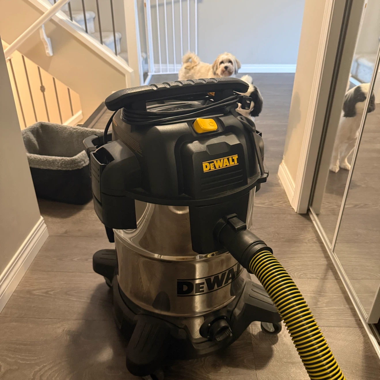 DEWALT Wet/Dry Vacuum