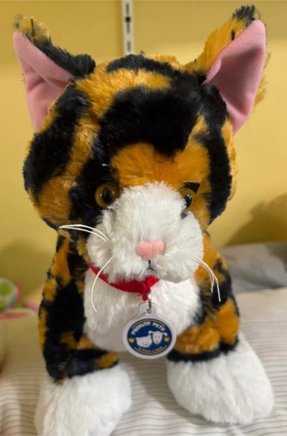 Build a bear cat