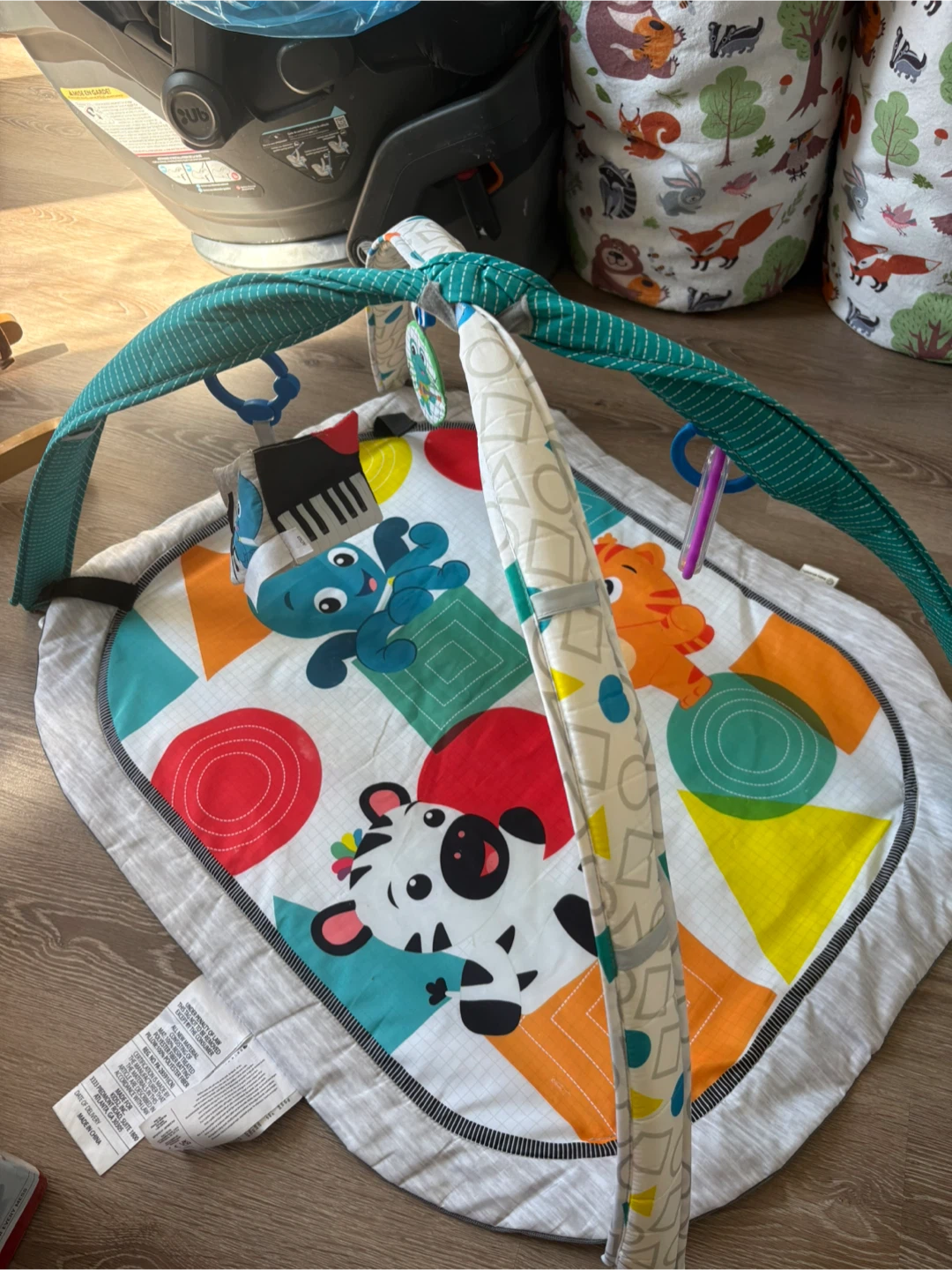 Baby Play Mat with Overhead Arch