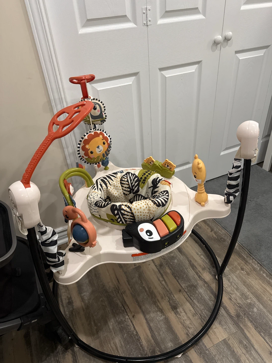 Fisher-Price Jumperoo
