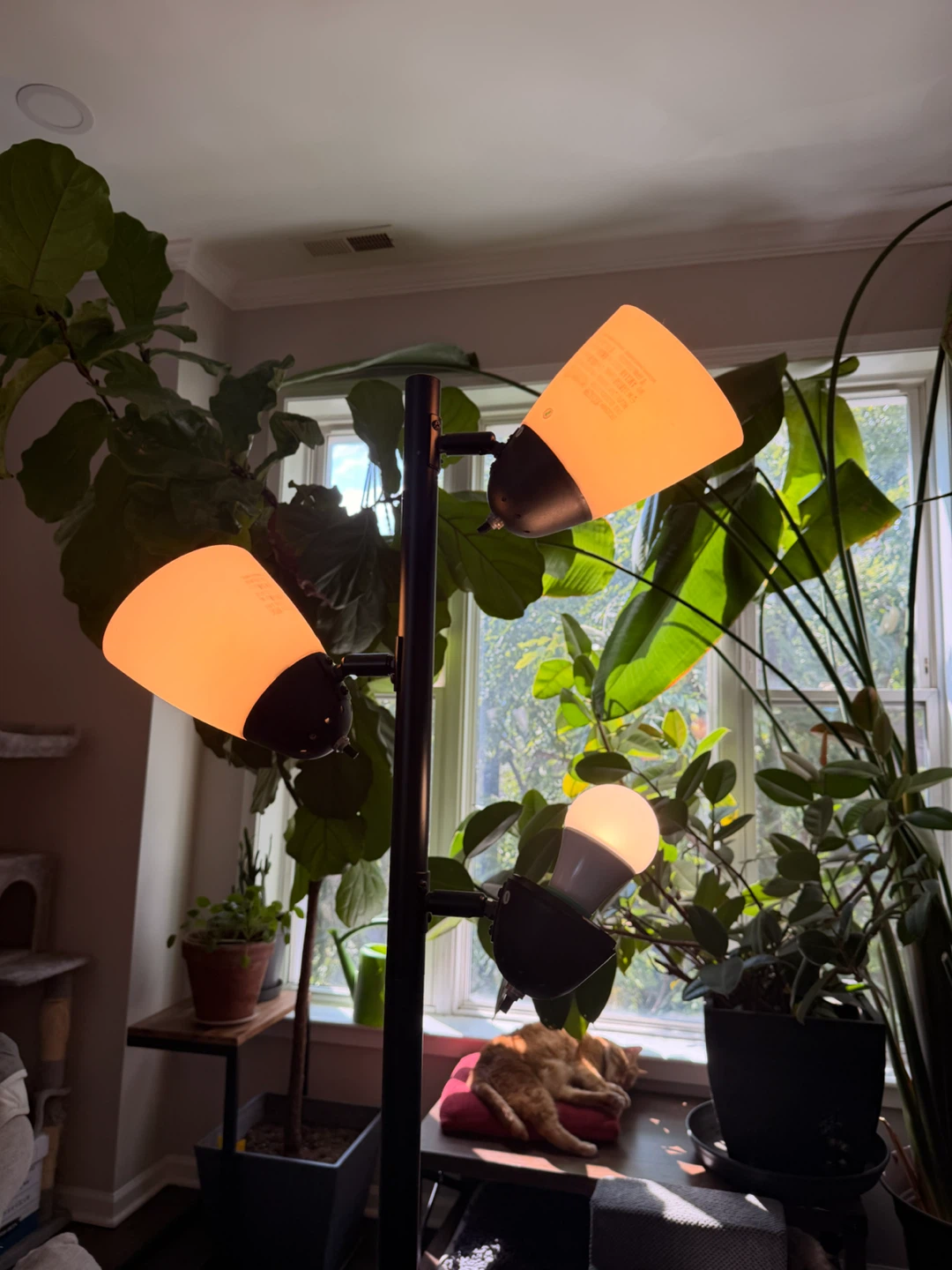 Black Floor Lamp with 3 Adjustable Lights - photo 2