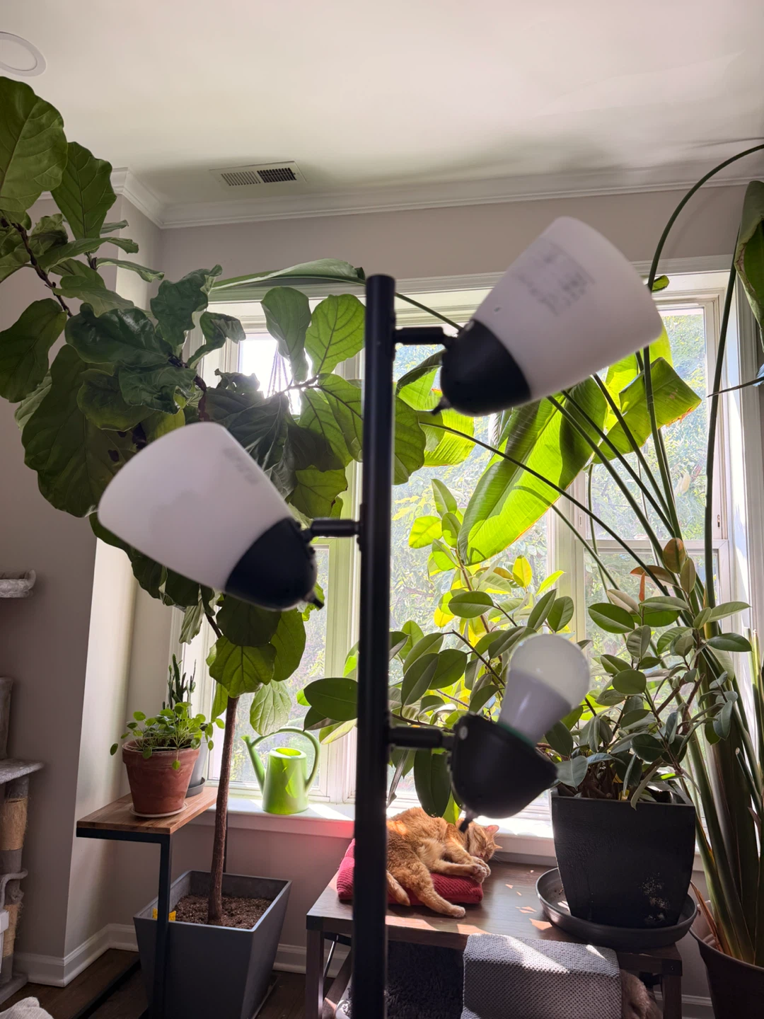 Black Floor Lamp with 3 Adjustable Lights - photo 3