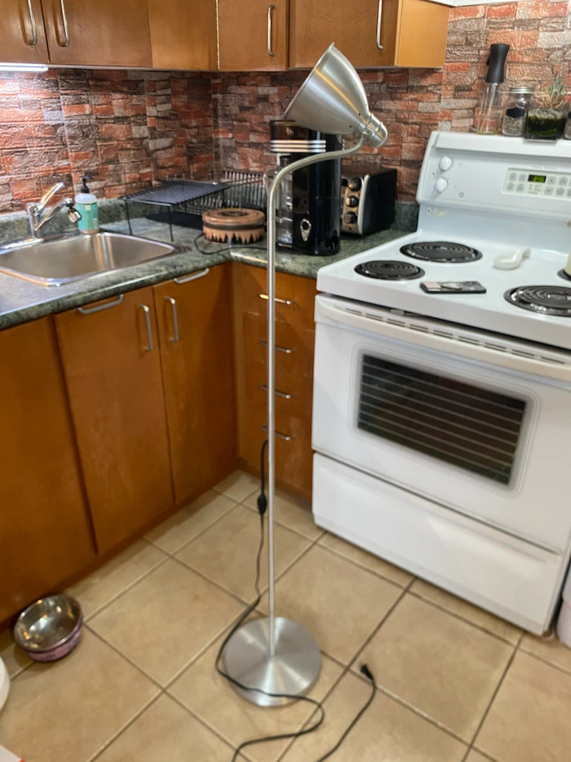 Silver Floor Lamp