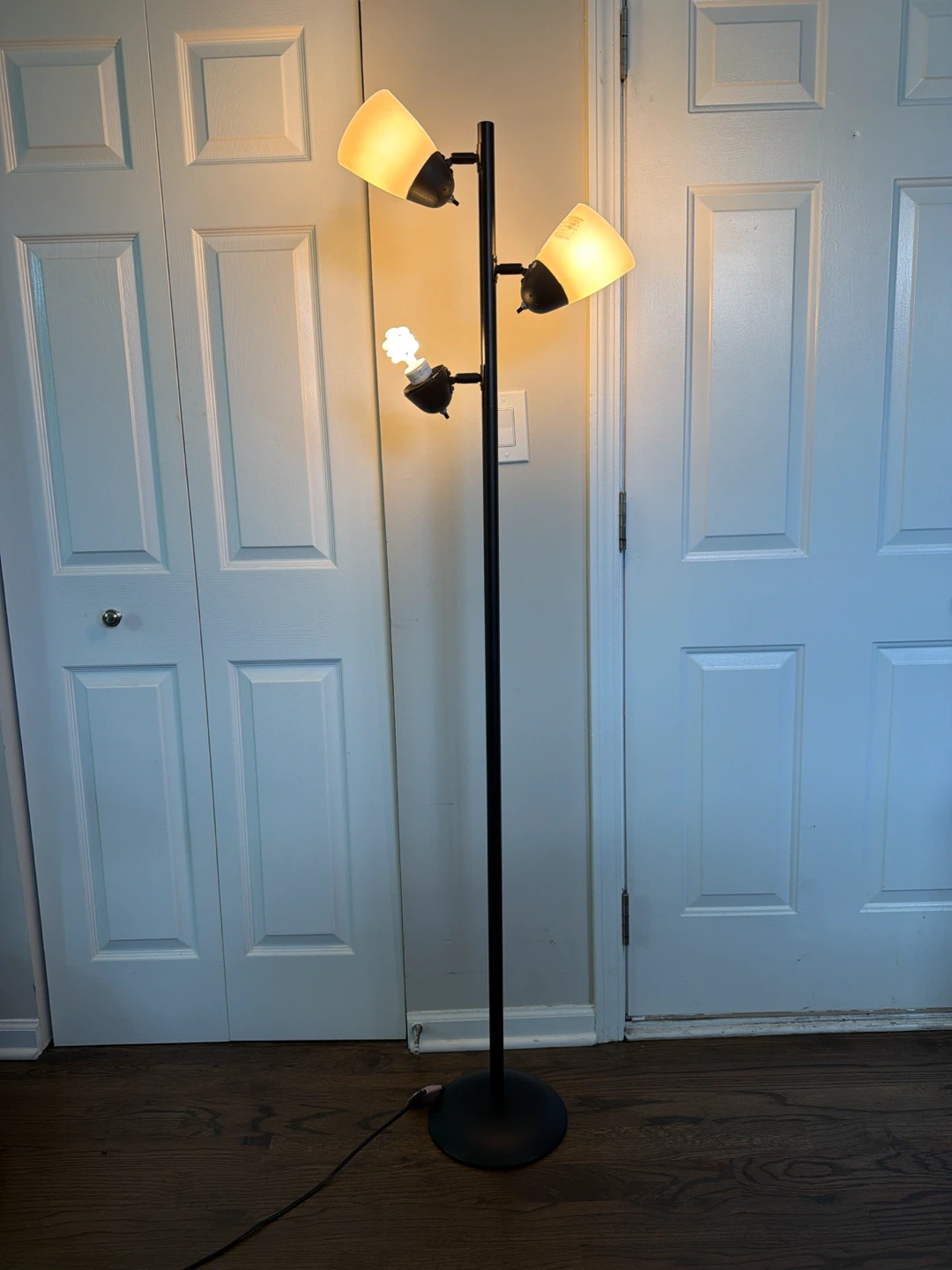 Black Floor Lamp with 3 Adjustable Lights