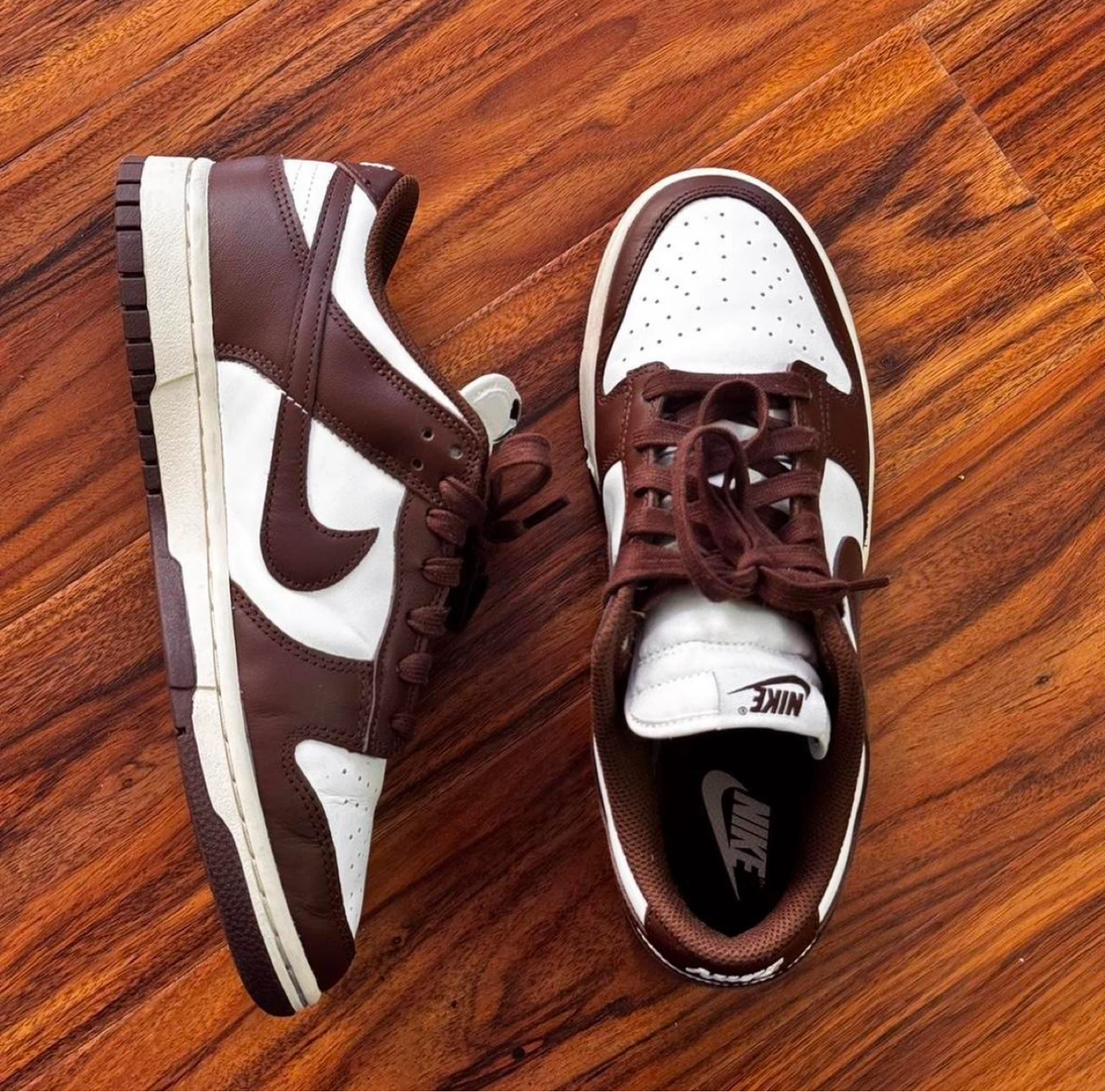 Nike Brown Dunk Lows
