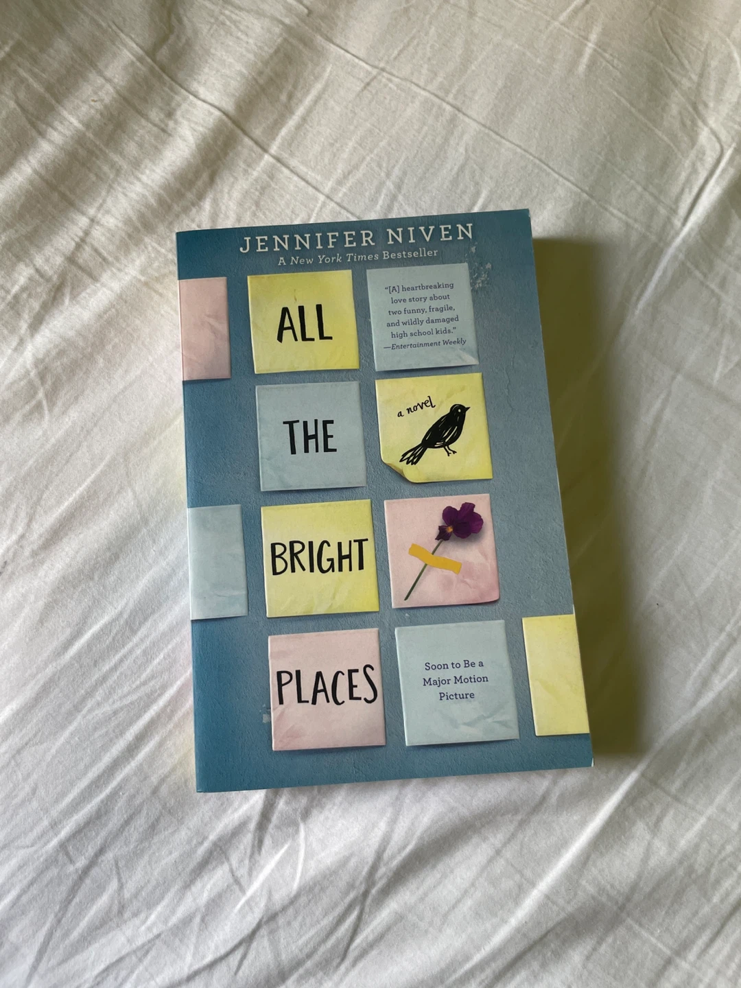 All the Bright Places - young adult novel