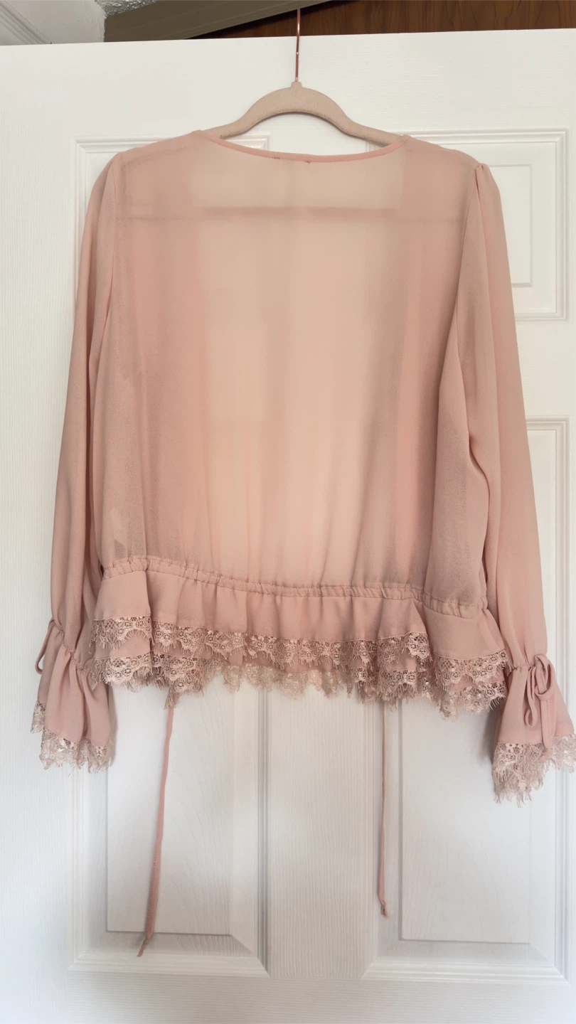 Sheer Pink Blouse with Lace Trim - photo 2