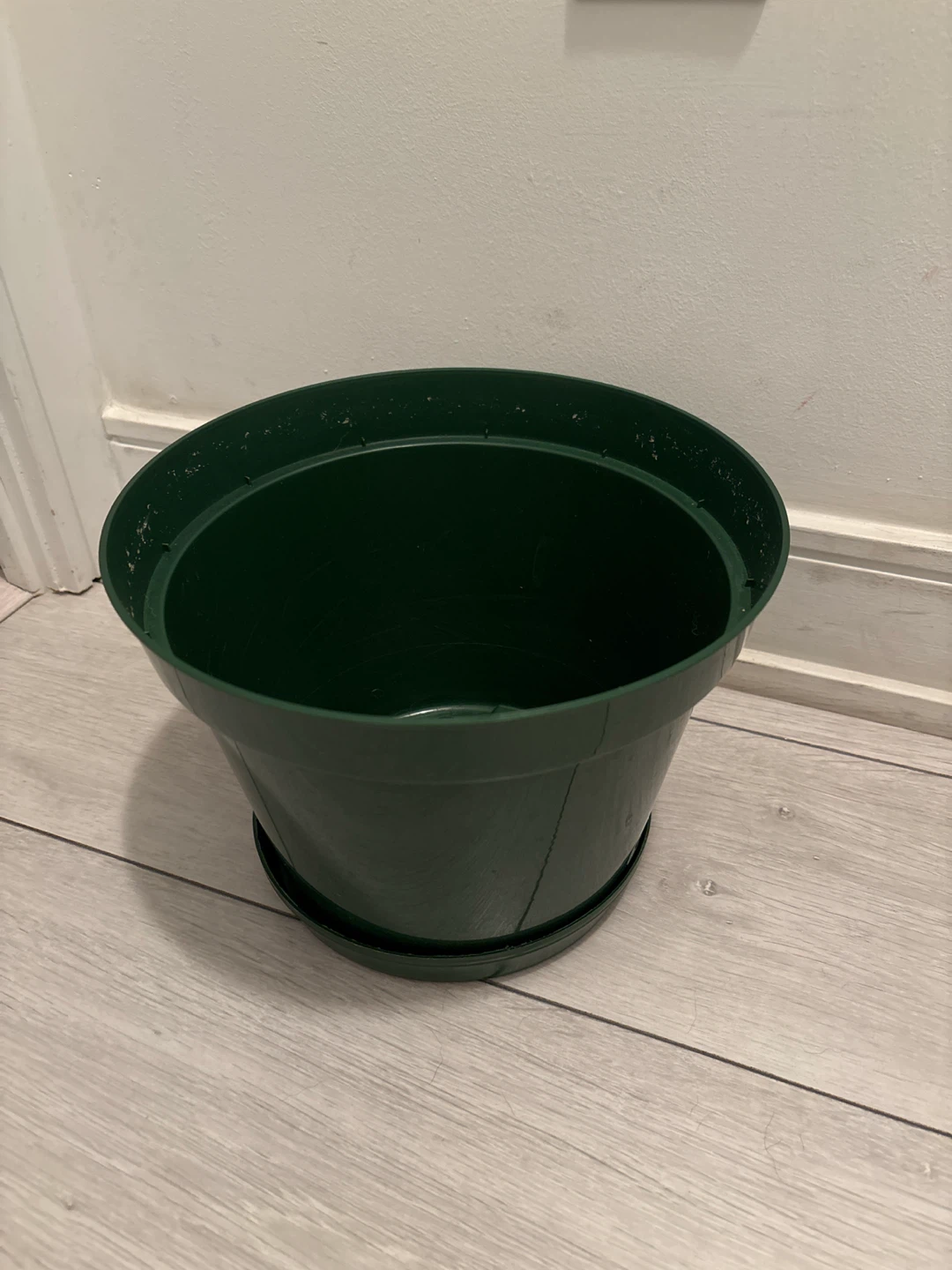 Dark Green #10 Grower Plant Pot