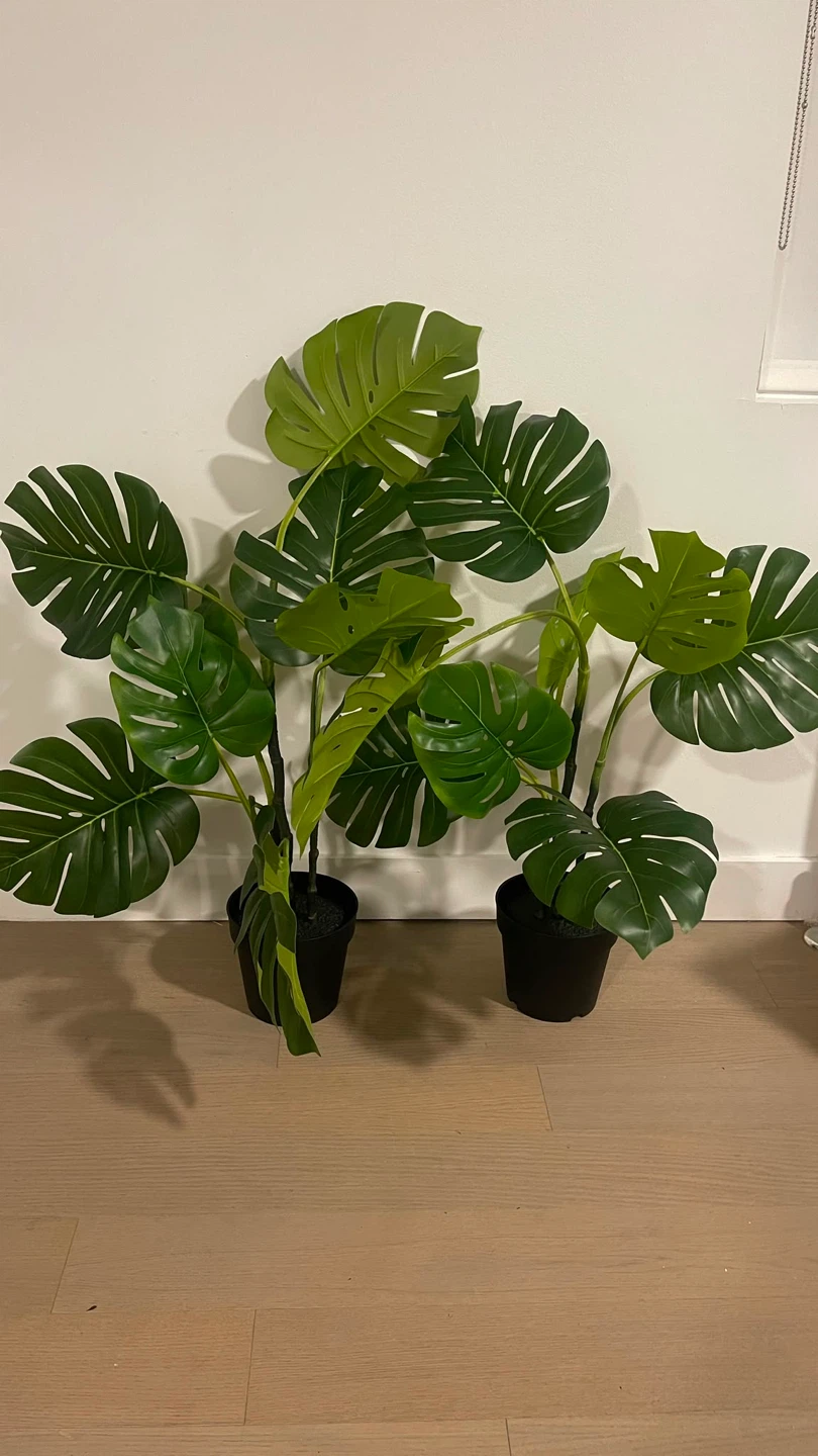 Artificial Monstera Plants (Set of 2) 65$ each - photo 2