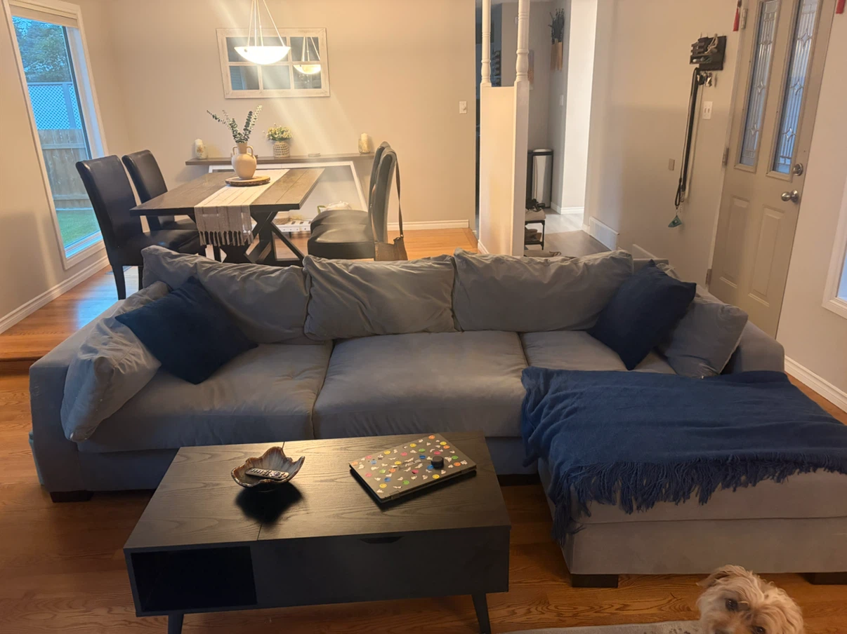 L-Shaped Large Couch