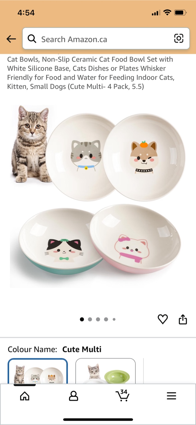 Cute Shallow Cat Bowls Set (4 Pack)