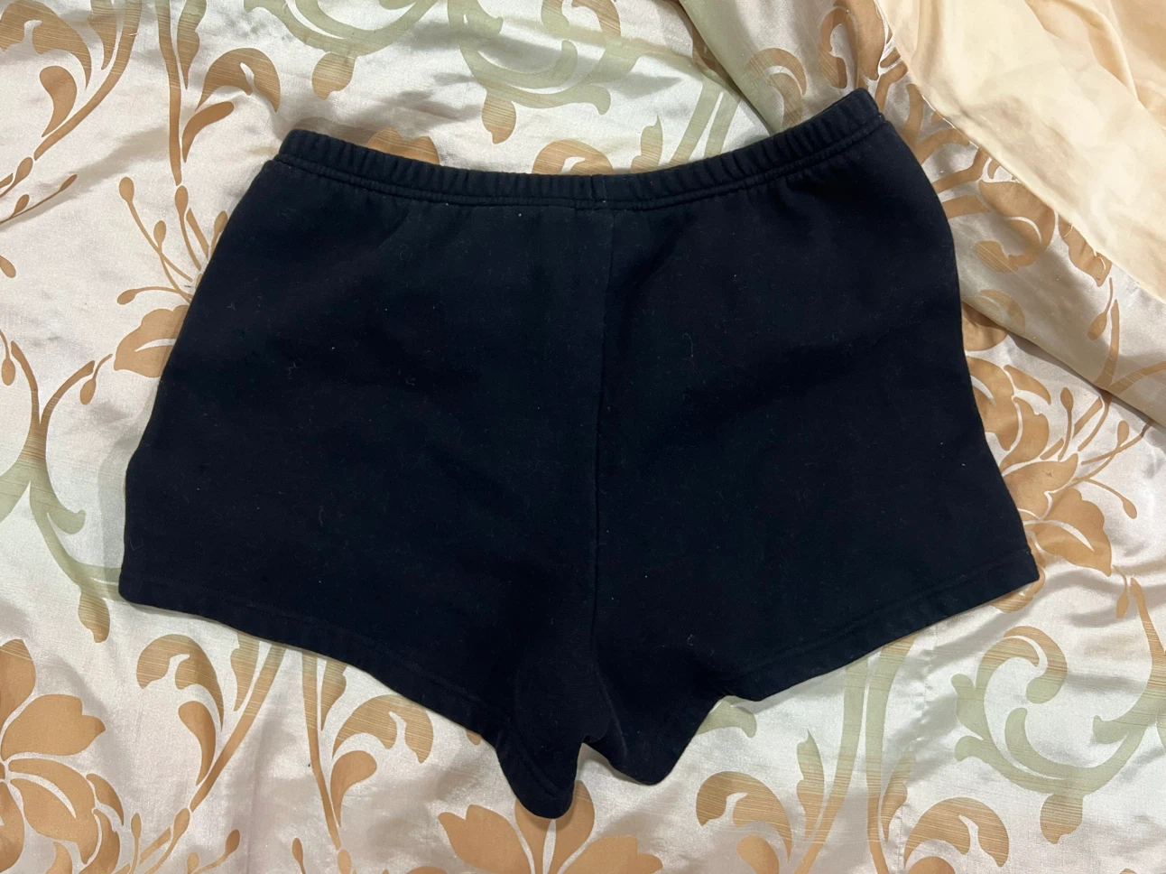 Aritzia sweatfleece perfect fit sweatshort in Large - photo 3