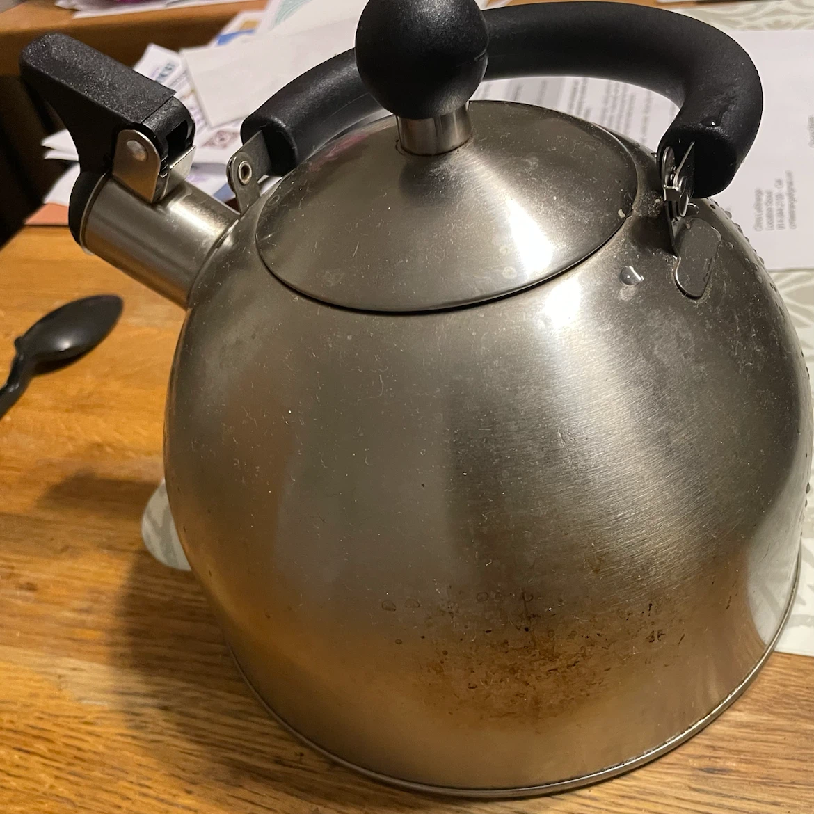 Stainless Steel Stovetop Kettle
