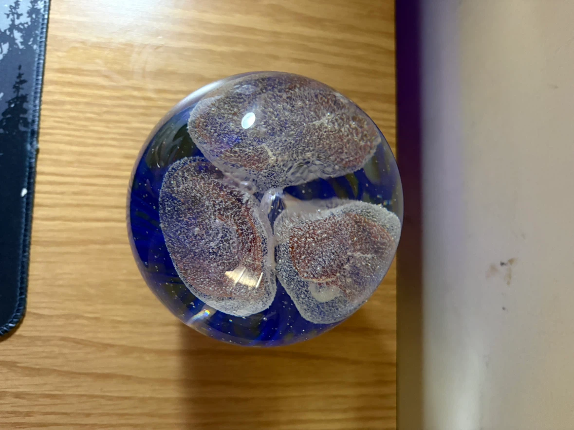 Glass Jellyfish Paperweight - photo 4