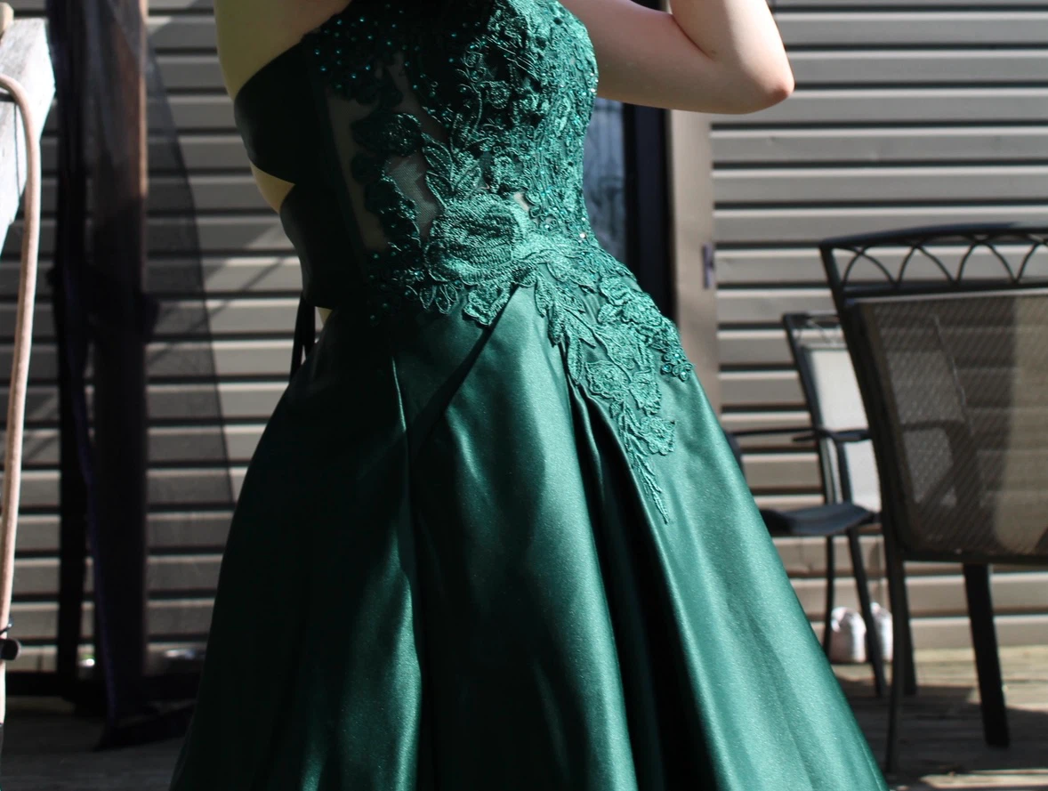 Melanie Lyne floor-length formal gown (prom)