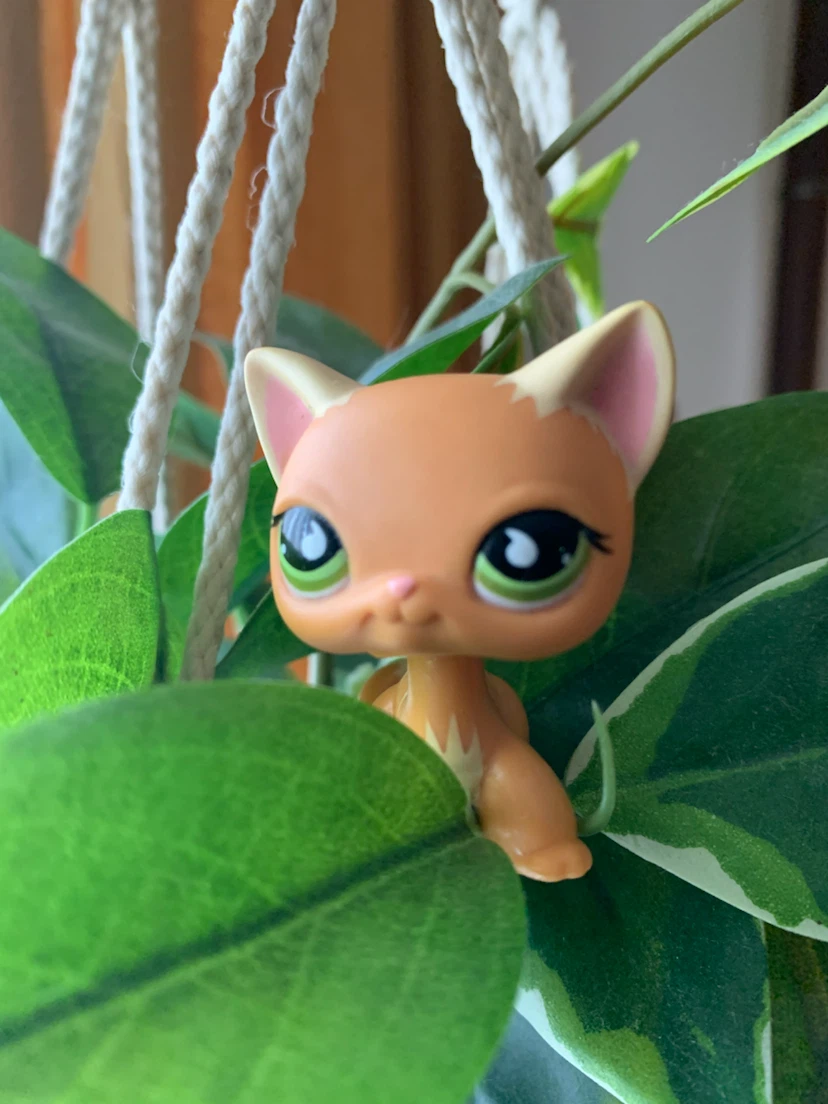 Littlest Pet Shop Orange Short-hair Cat 525 with Green Eyes - photo 4