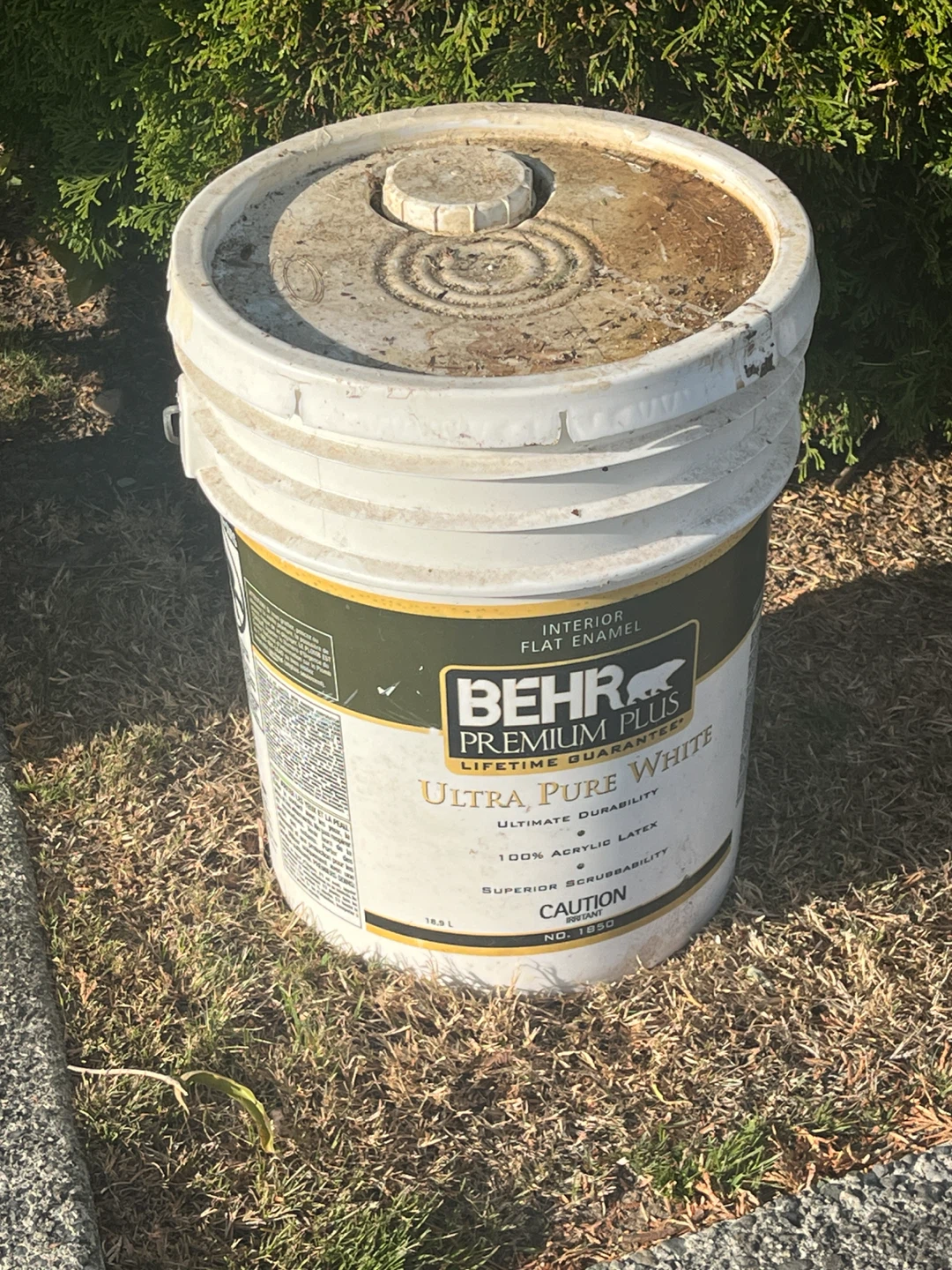 BEIGE- Behr Premium Plus Interior Flat Enamel Paint