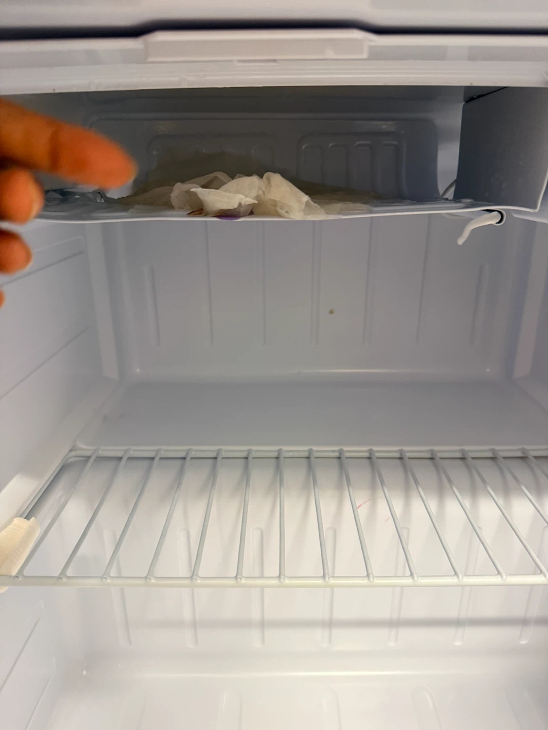 Danby Mini Fridge - photo 4