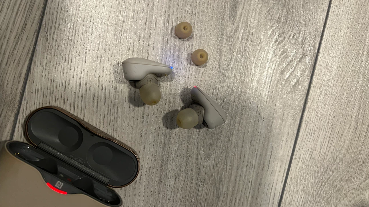 Sony WF-1000XM3 Wireless Earbuds - photo 4