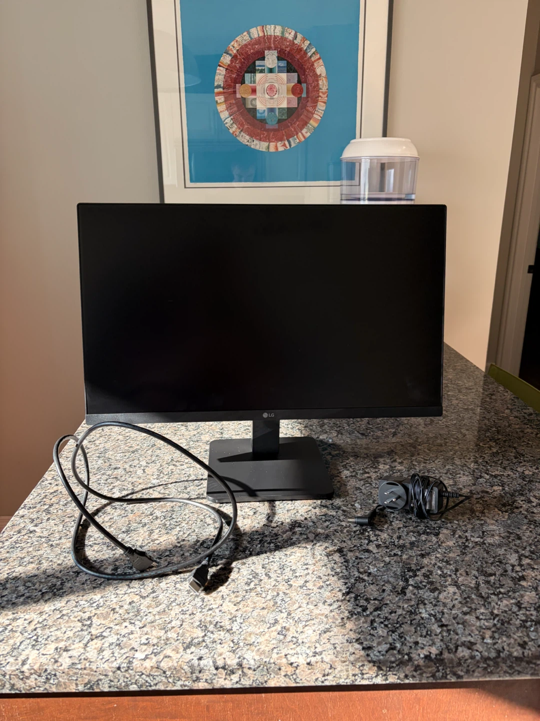 LG Monitor - 20” x 10”