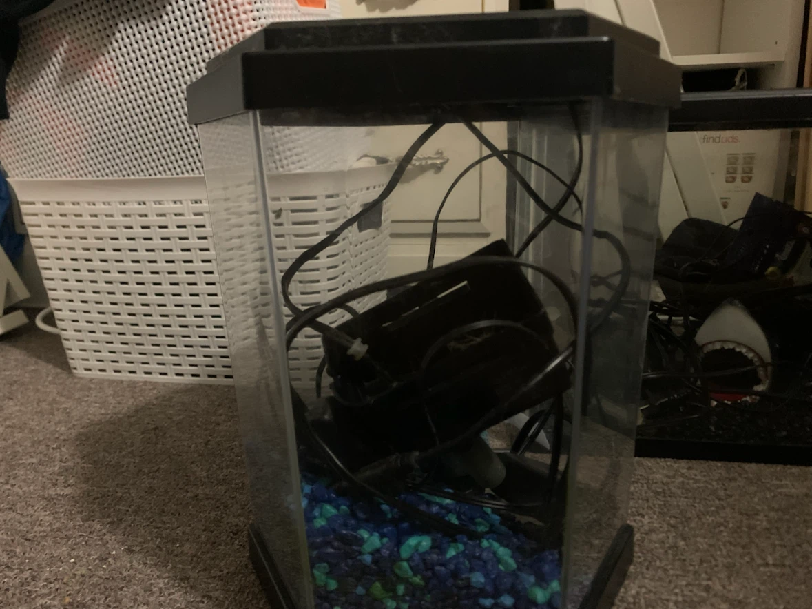 Hexagonal Fish Tank with Filter and Gravel