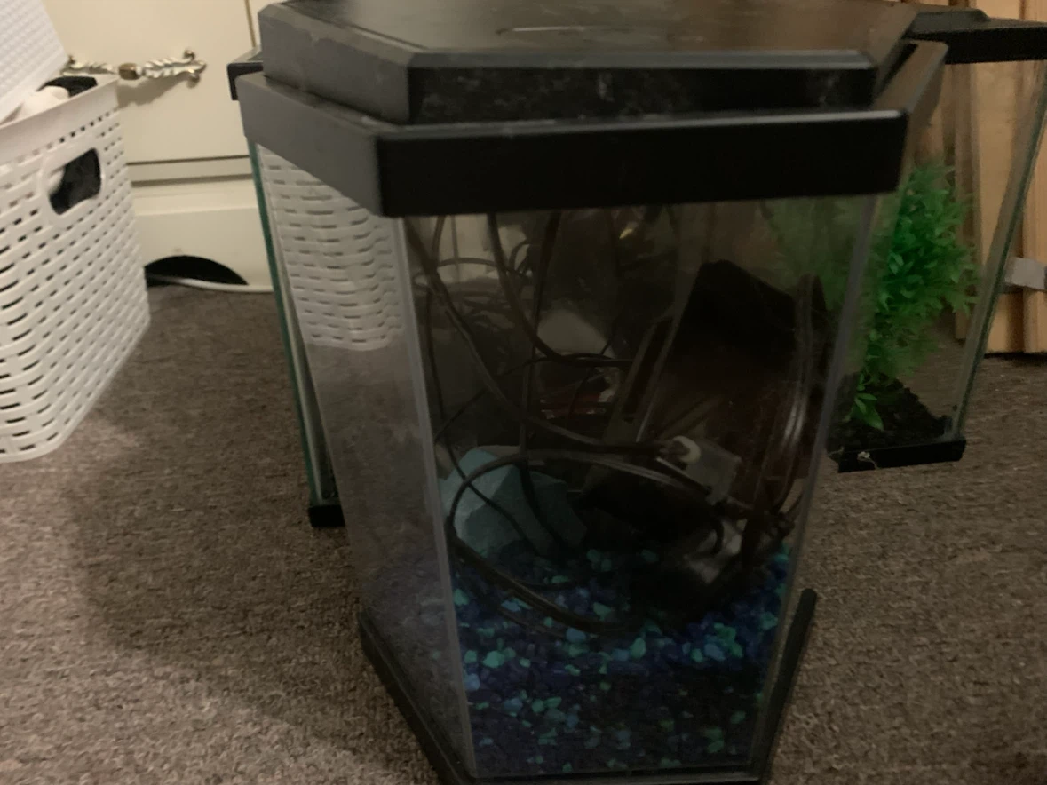 Hexagonal Fish Tank with Filter and Gravel - photo 2