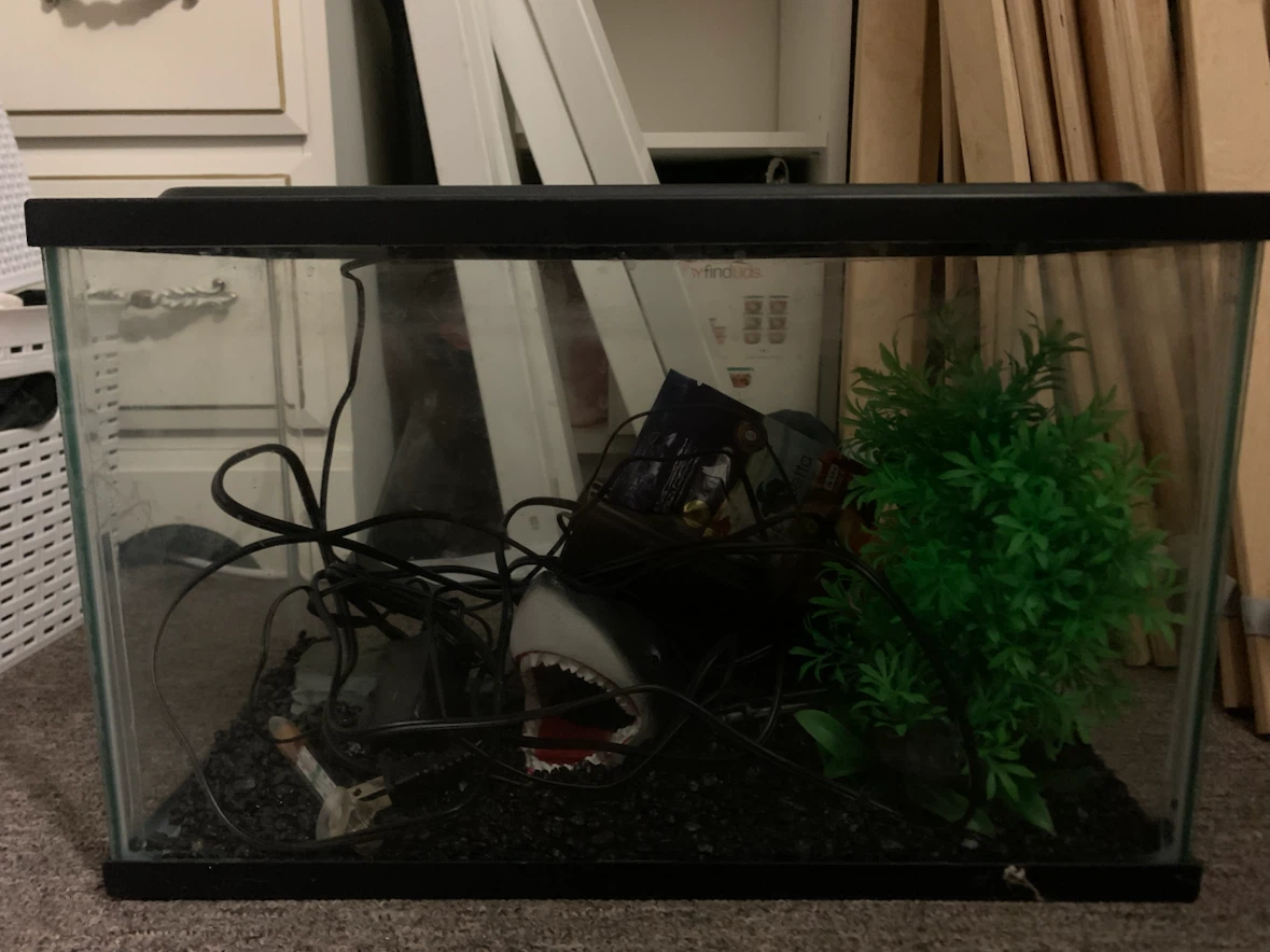 5 gallon fish Tank with Accessories