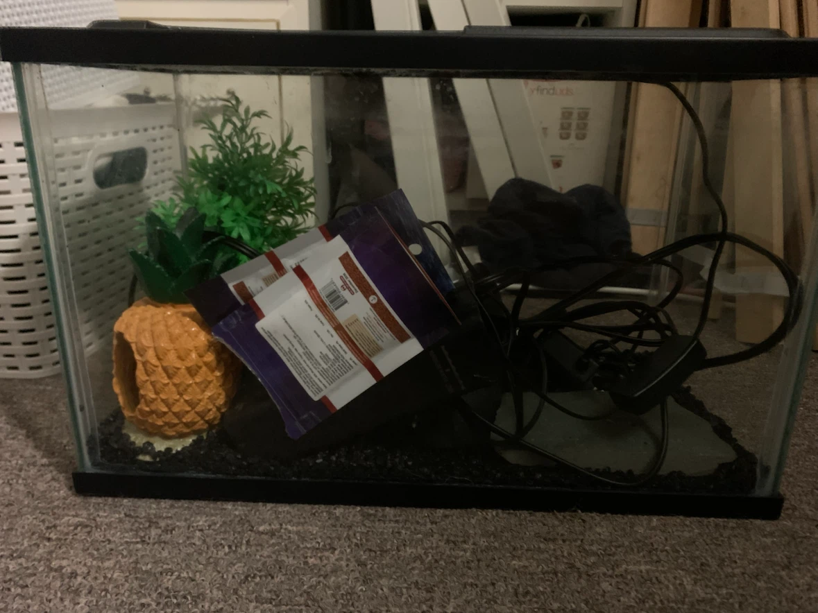 5 gallon fish Tank with Accessories - photo 2