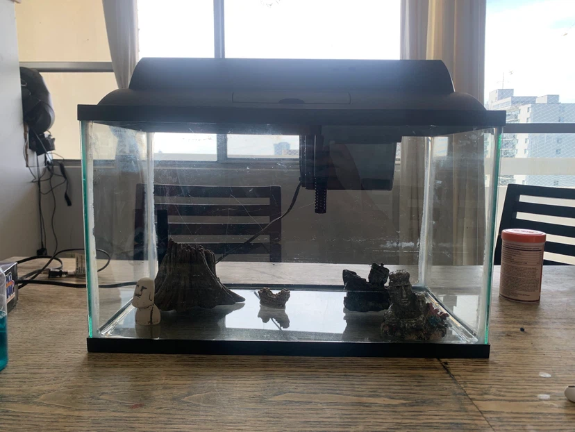 10 gallon fish tank with filter