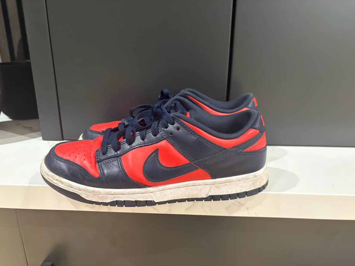 Nike dunk lows size 9.5US