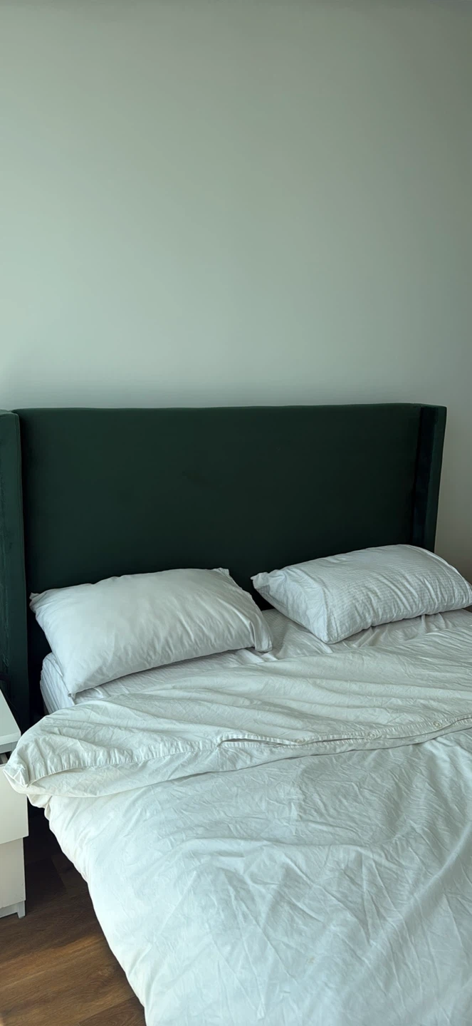 Queen Size Green Velvet Wingback Bed Frame