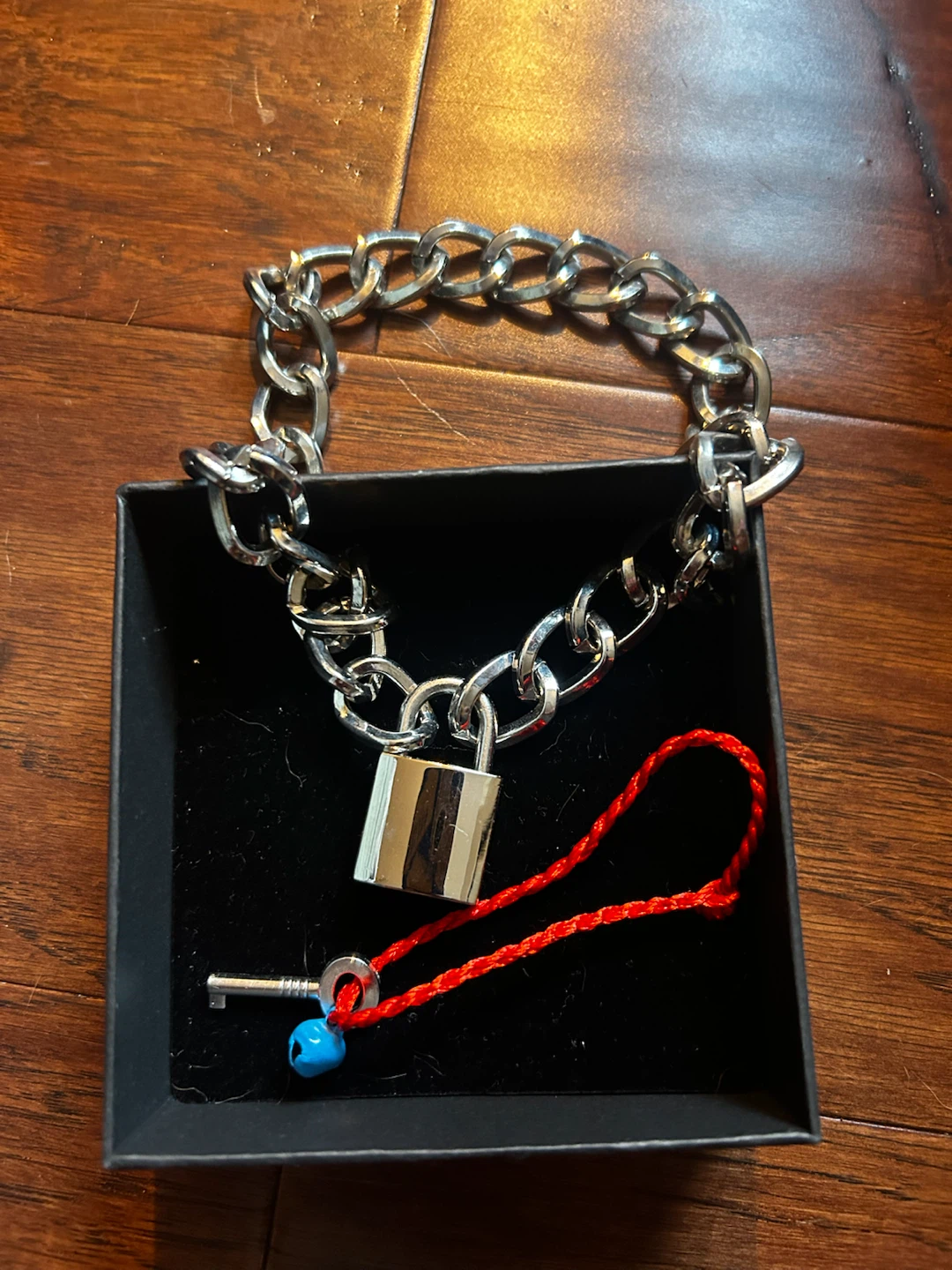 Silver Chain Choker with Lock and Key