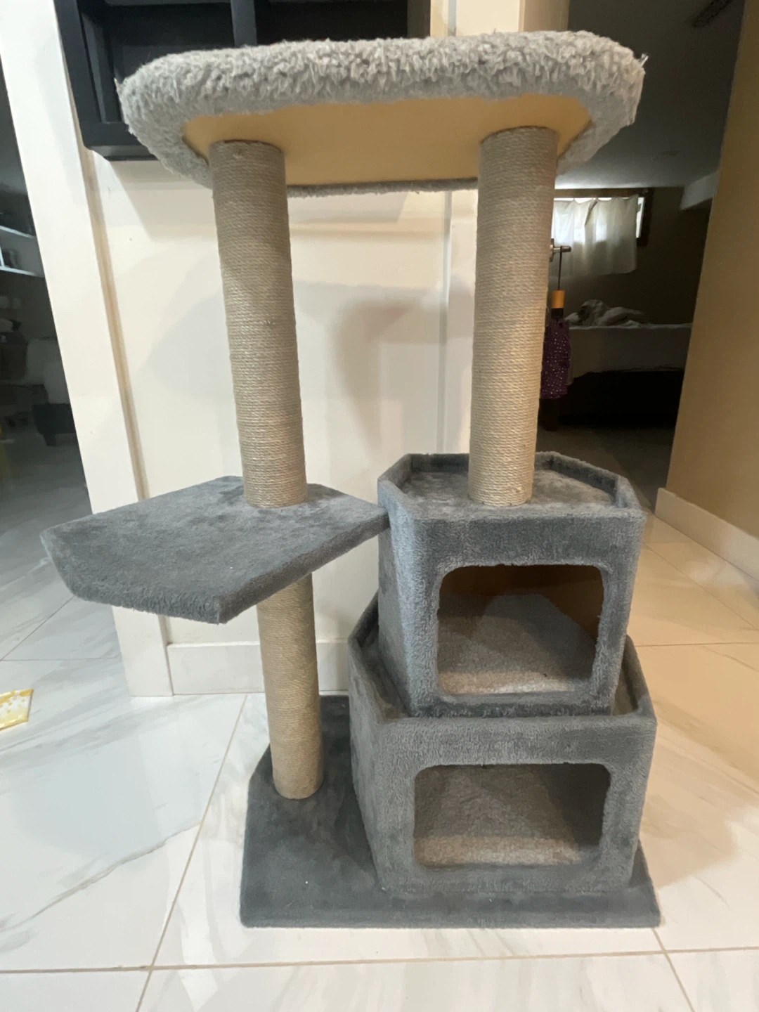 cute big grey scratch cat house