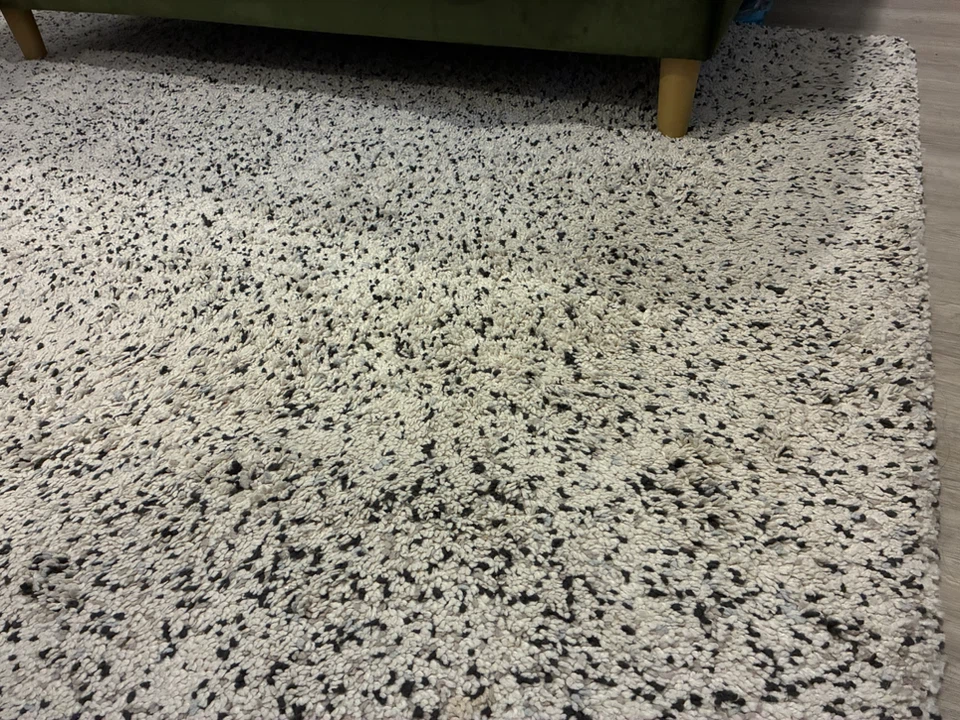 Shaggy Area Rug - Cream and Black