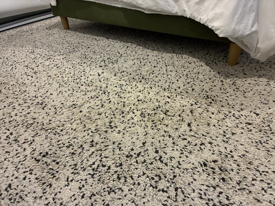 Shaggy Area Rug - Cream and Black - photo 3