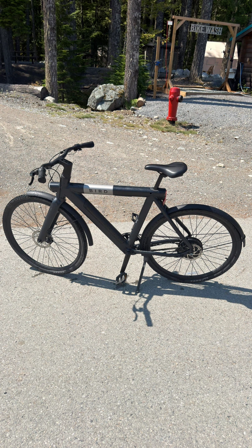 MOVING SALE Bird A-Frame E-Bike | 550mi | Throttle + Pedal Assi - photo 4