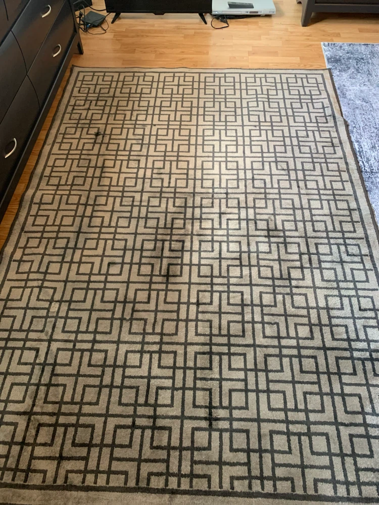 Area Rug with Geometric Pattern