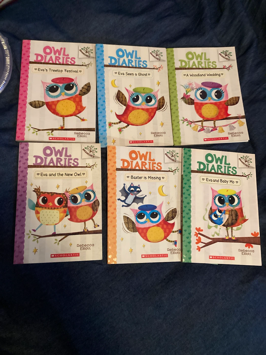 Owl Diaries Books