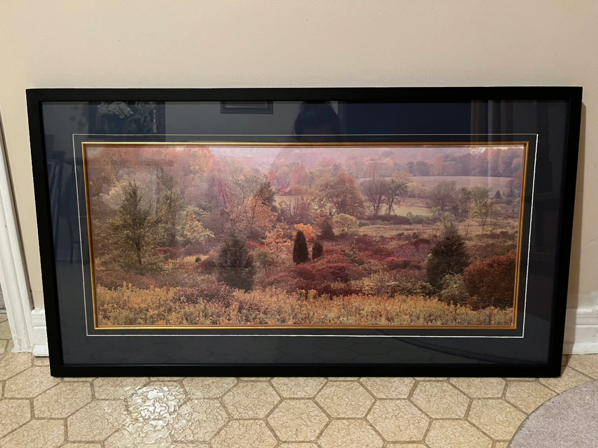 CHIC fall forest print custom framed art 34.5 x 19 inches
