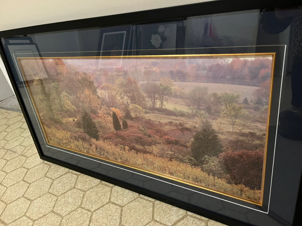 CHIC fall forest print custom framed art 34.5 x 19 inches - photo 2