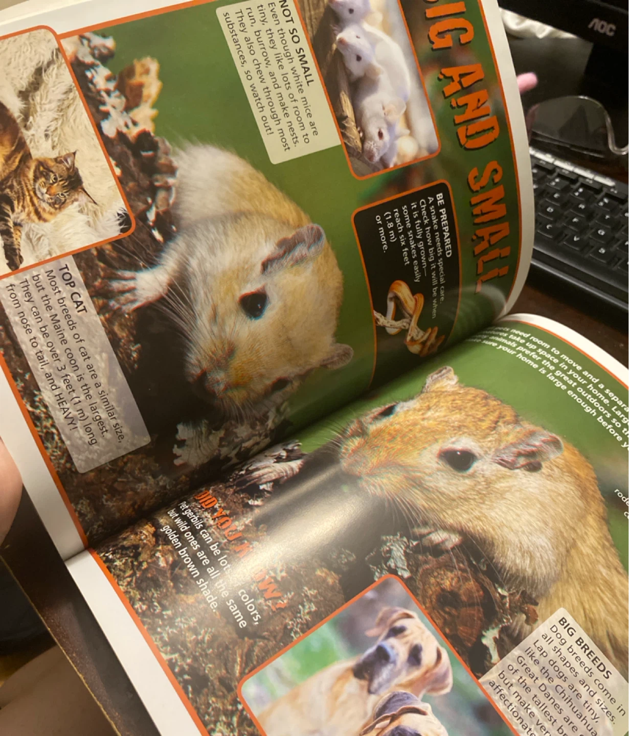 World's Cutest Pets in 3D Books - photo 2