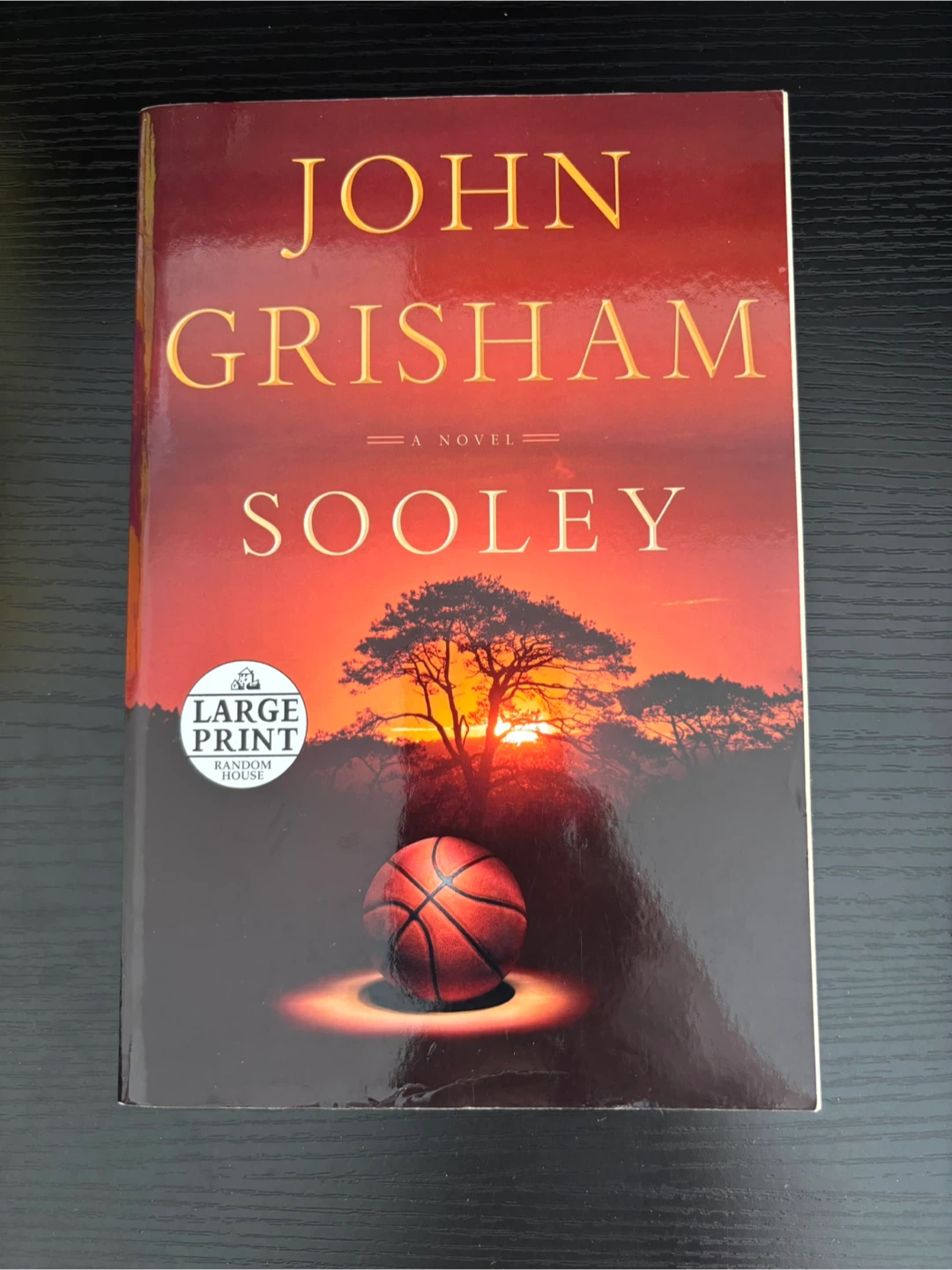 Sooley - John Grisham