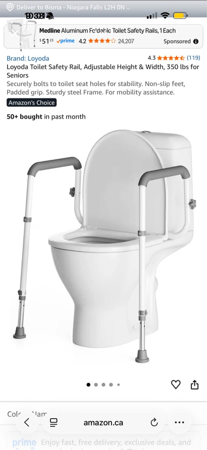Loyoda Toilet Safety Rail