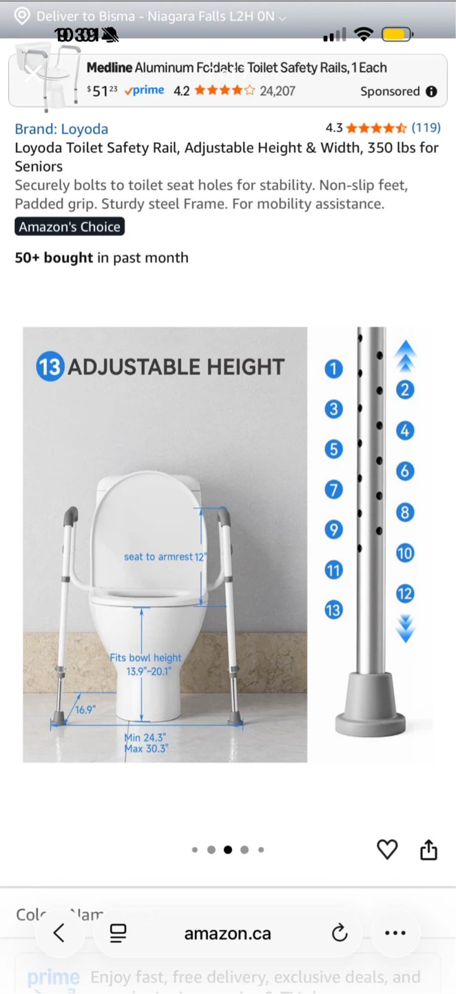 Loyoda Toilet Safety Rail - photo 2