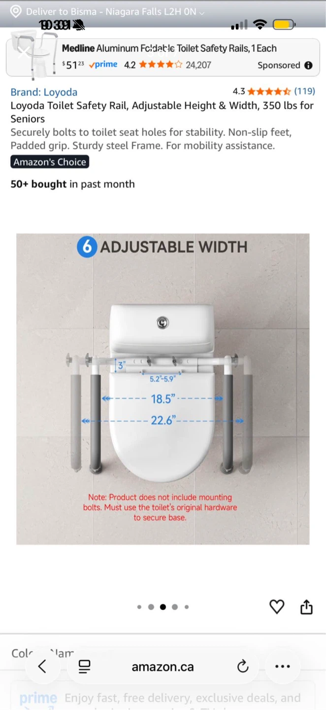 Loyoda Toilet Safety Rail - photo 3